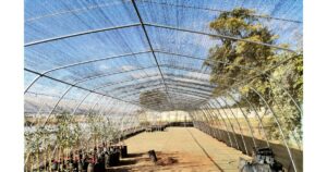 Greenhouse 40x6m No Window