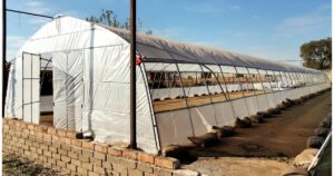 Greenhouse 40x6m With Net Window