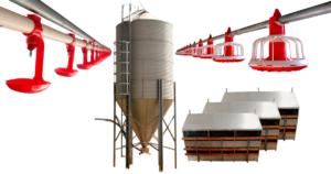 Free Range 2500 Chicken Farming Kit